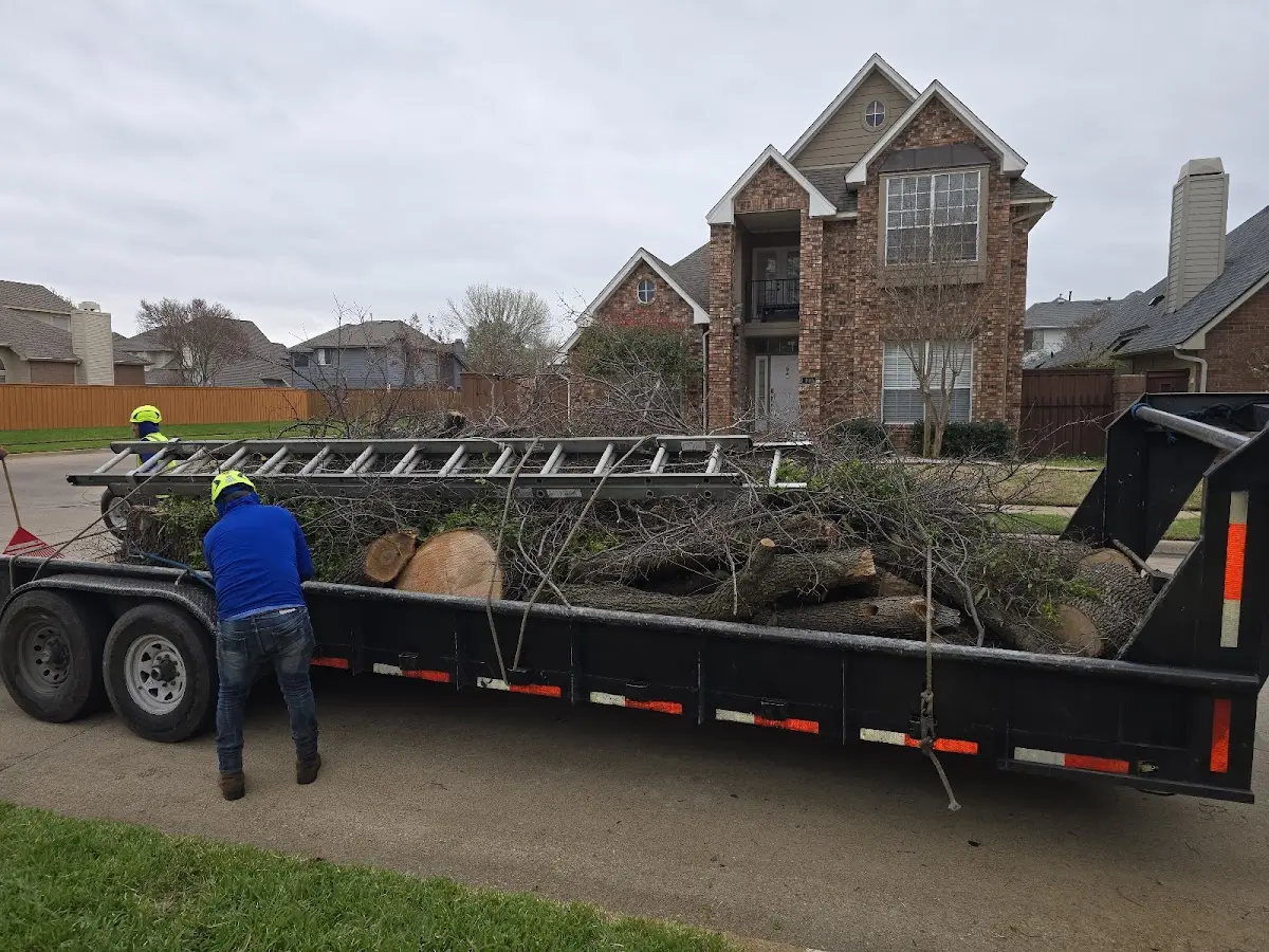 Expert Tree Removal with proper safety equipment in East Earl